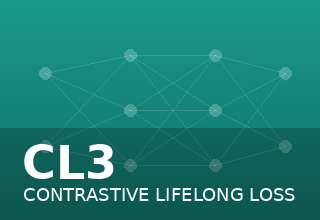 CL3 — methodology